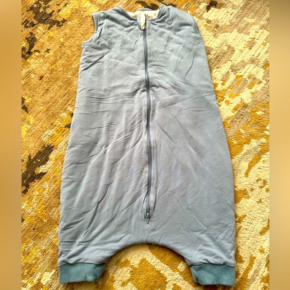 Kyte sleep bag walker